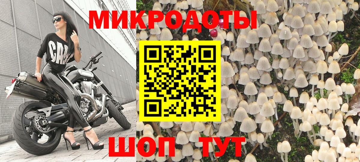 Галлюциногенные грибы GOLDEN TEACHER  Вход с VPN  Добрянка 